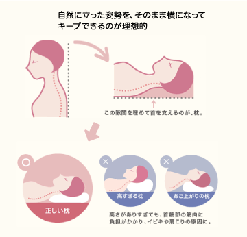 自然に立った姿勢を、そのまま横になってキープできるのが理想的