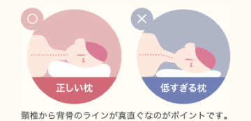 頚椎から背骨のラインが真直ぐなのがポイントです。
